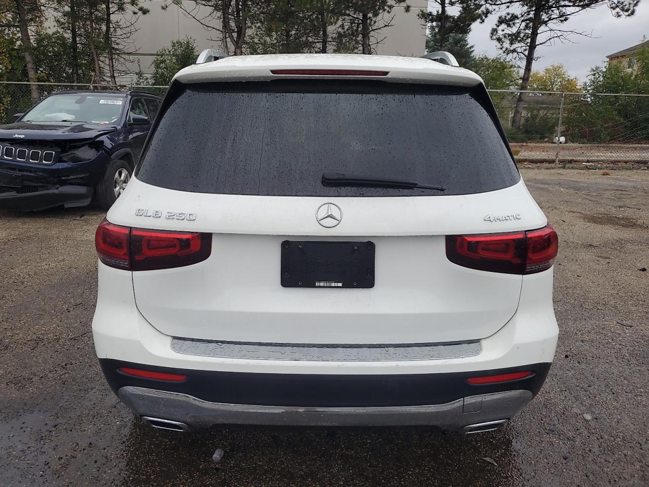 2023 Mercedes-Benz Glb 250 4Matic VIN: W1N4M4HB4PW309733 Lot: 86130545