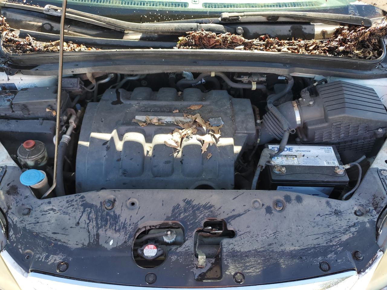 2007 Honda Odyssey Exl VIN: 5FNRL38747B122678 Lot: 89559105