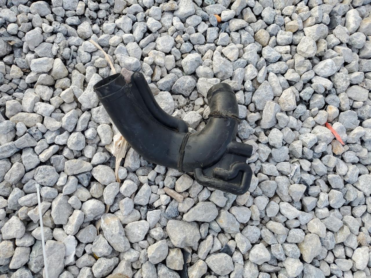 2009 Honda Civic Si VIN: 2HGFG21509H700980 Lot: 81998135