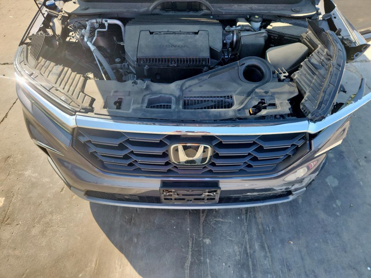 2024 Honda Pilot Exl VIN: 5FNYG2H51RB009489 Lot: 82193145