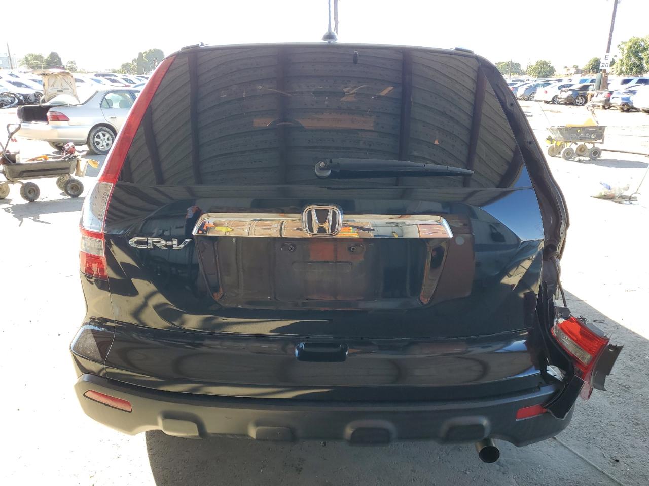 2007 Honda Cr-V Exl VIN: JHLRE38787C081319 Lot: 82450725