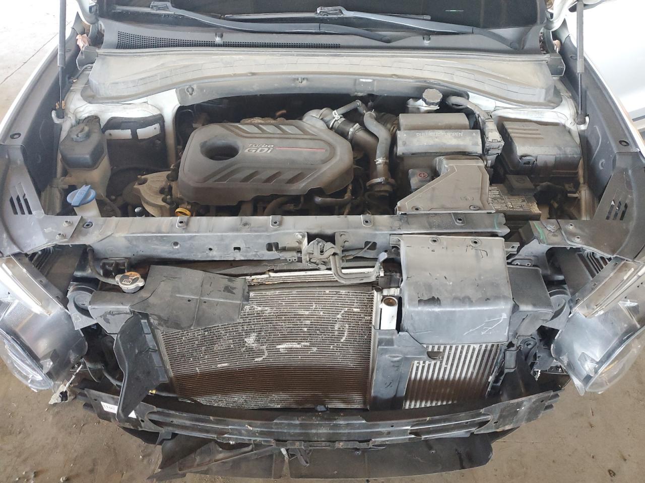 2019 Hyundai Santa Fe Limited VIN: 5NMS5CAA1KH103840 Lot: 85195295