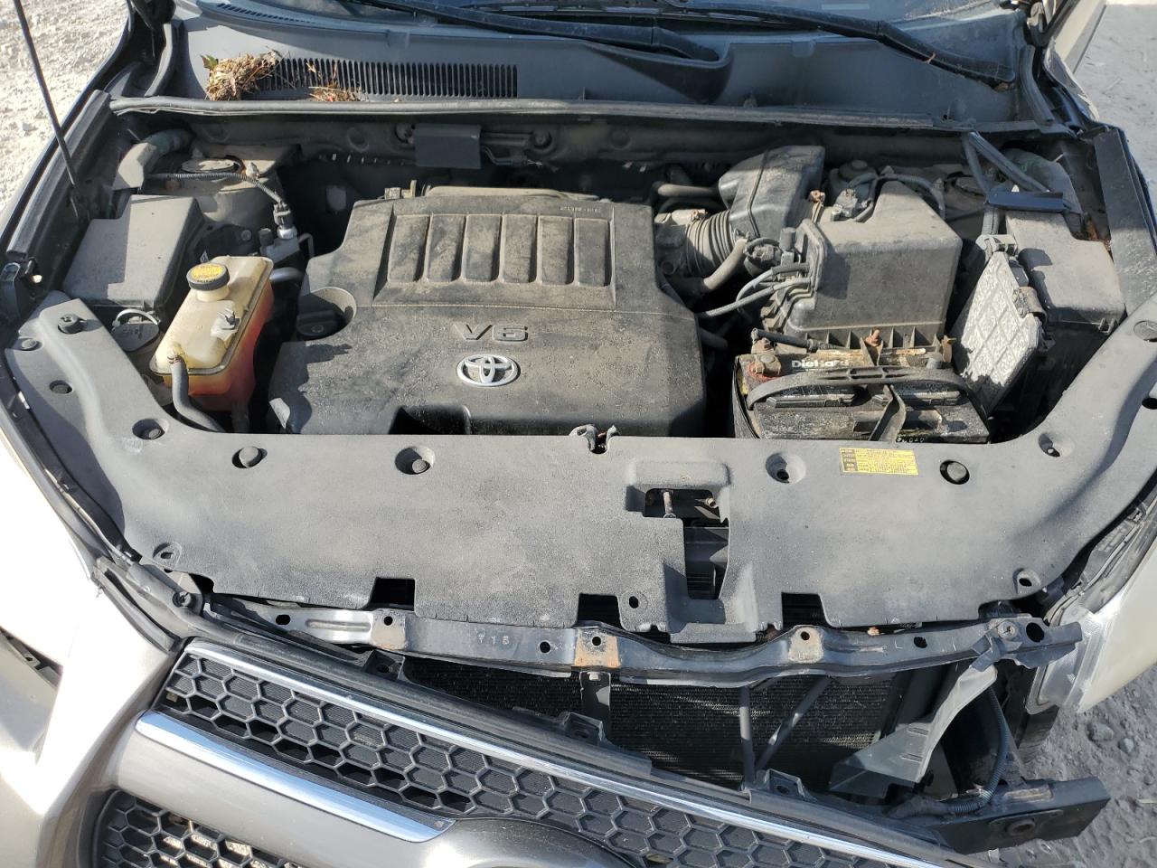 2010 Toyota Rav4 Limited VIN: 2T3DK4DV4AW020256 Lot: 81486555