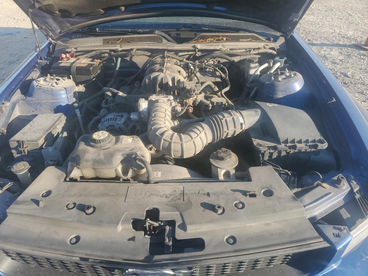 2009 Ford Mustang VIN: 1ZVHT80N395125625 Lot: 84966405