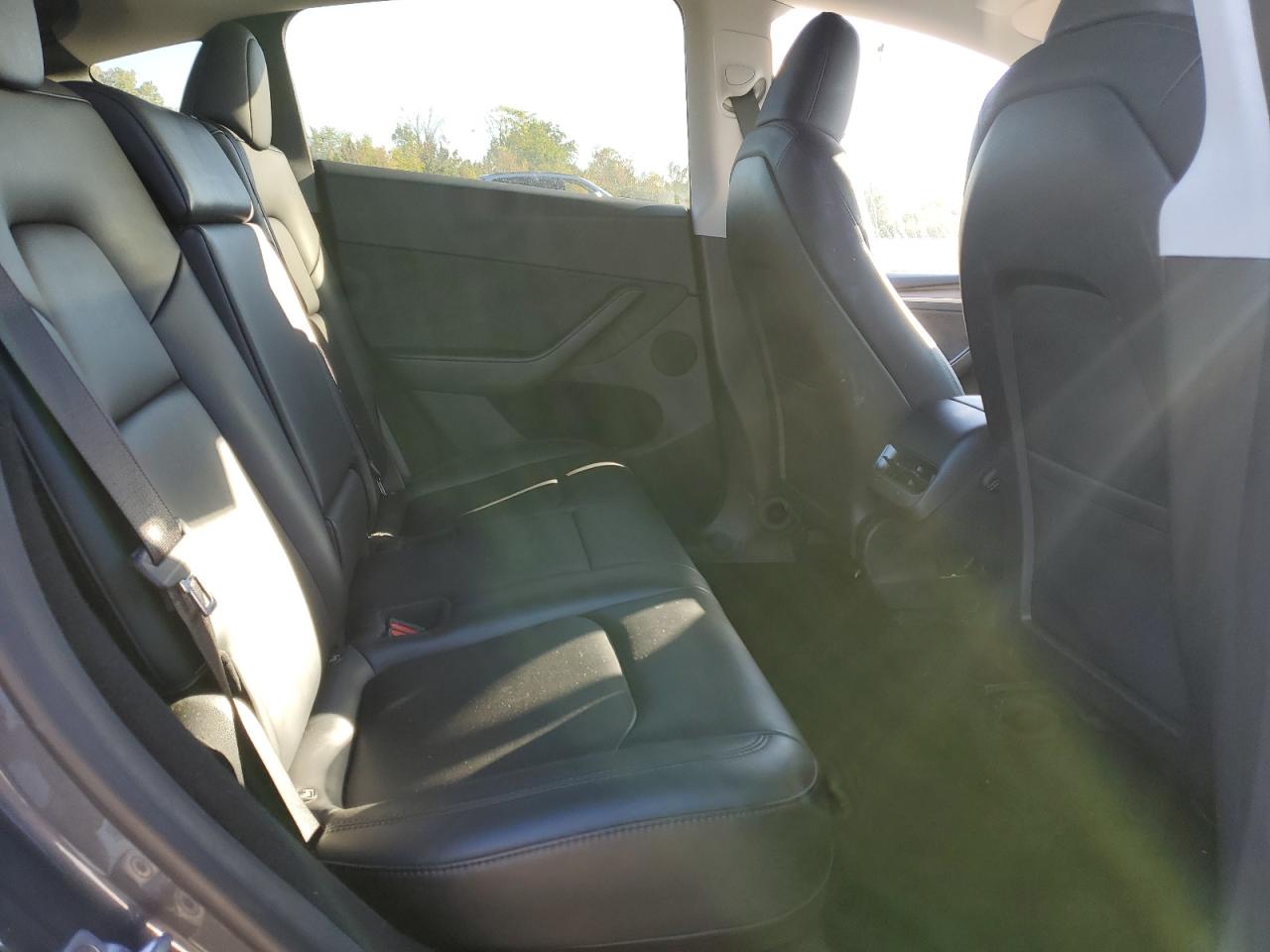 2023 Tesla Model Y VIN: 7SAYGDEE8PA128427 Lot: 84264955