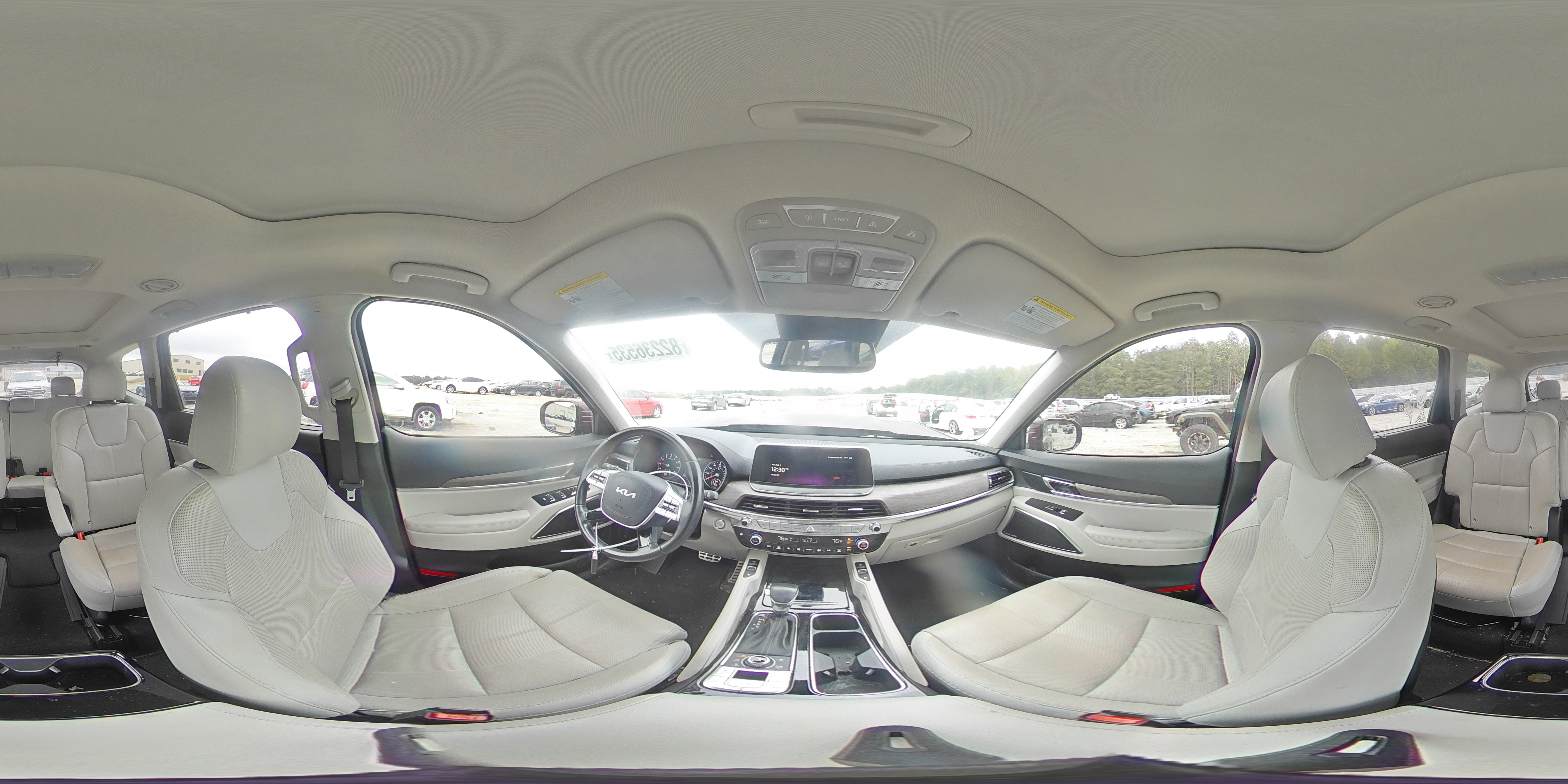 2022 Kia Telluride Sx VIN: 5XYP5DHC5NG302729 Lot: 82236535