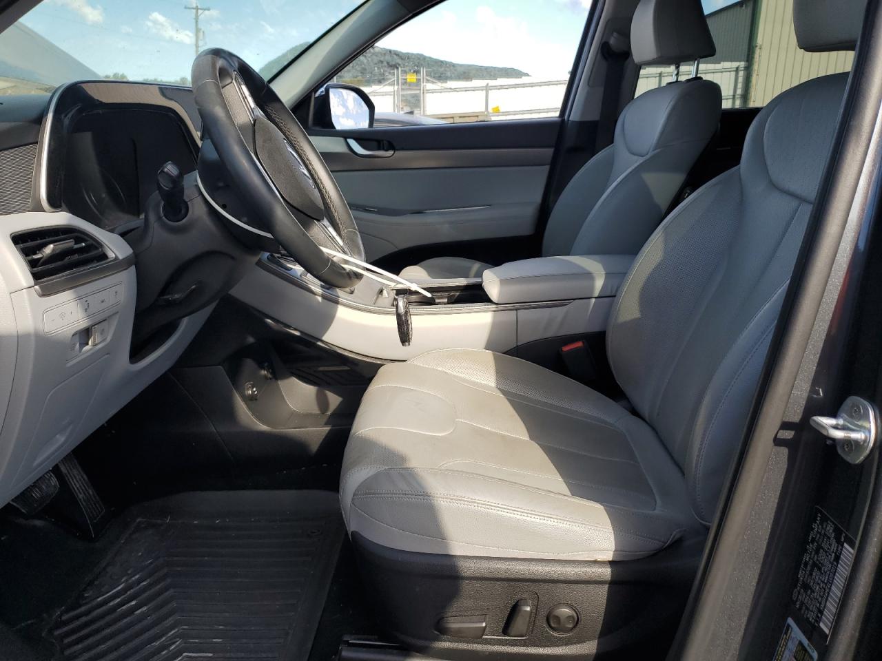 2020 Hyundai Palisade Sel VIN: KM8R44HE4LU097019 Lot: 87433335