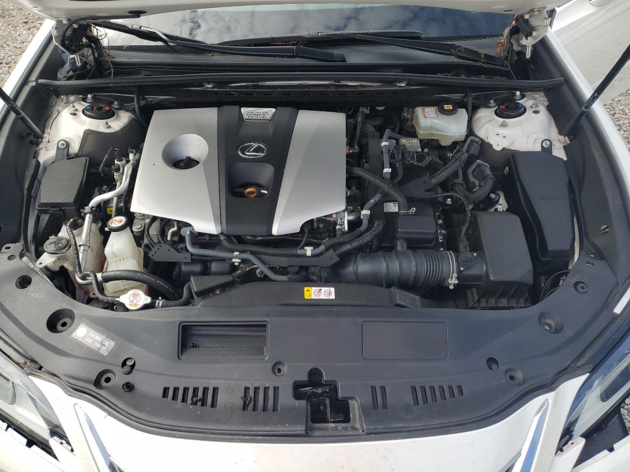 2021 Lexus Es 300H VIN: 58ADA1C18MU005846 Lot: 85724575