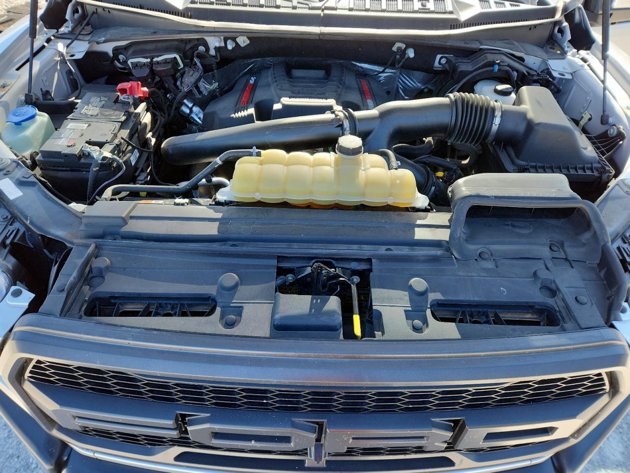 2019 Ford F150 Raptor VIN: 1FTFW1RG6KFC08401 Lot: 95524895