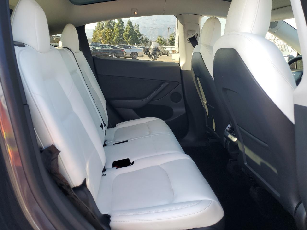 2023 Tesla Model Y VIN: 7SAYGAEE2PF646213 Lot: 84785885