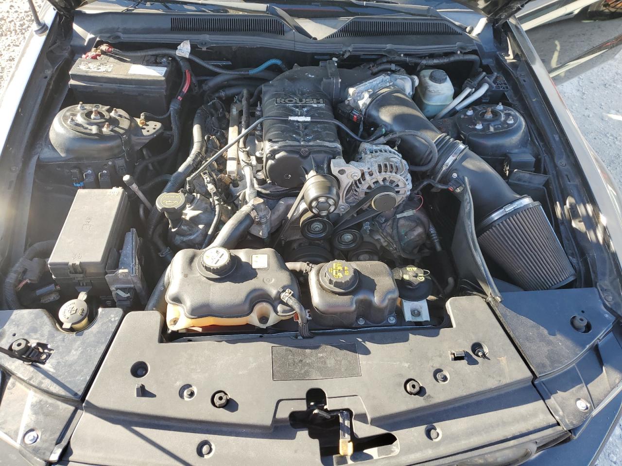 2005 Ford Mustang Gt VIN: 1ZVFT82H555124016 Lot: 90660955