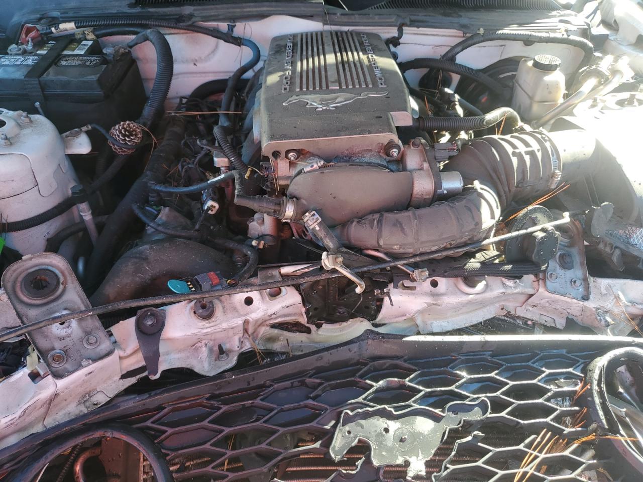 2009 Ford Mustang Gt VIN: 1ZVHT85H395123053 Lot: 86264815