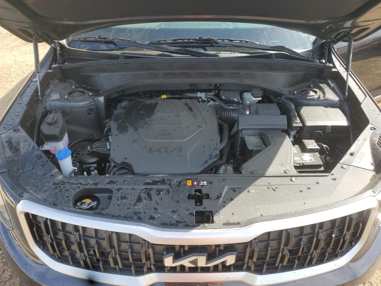 2025 Kia Telluride Lx VIN: 5XYP24GC0SG635958 Lot: 84816025