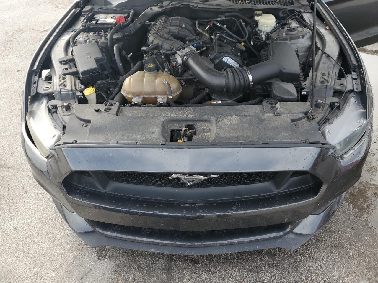 2016 Ford Mustang VIN: 1FA6P8AMXG5302081 Lot: 84780205