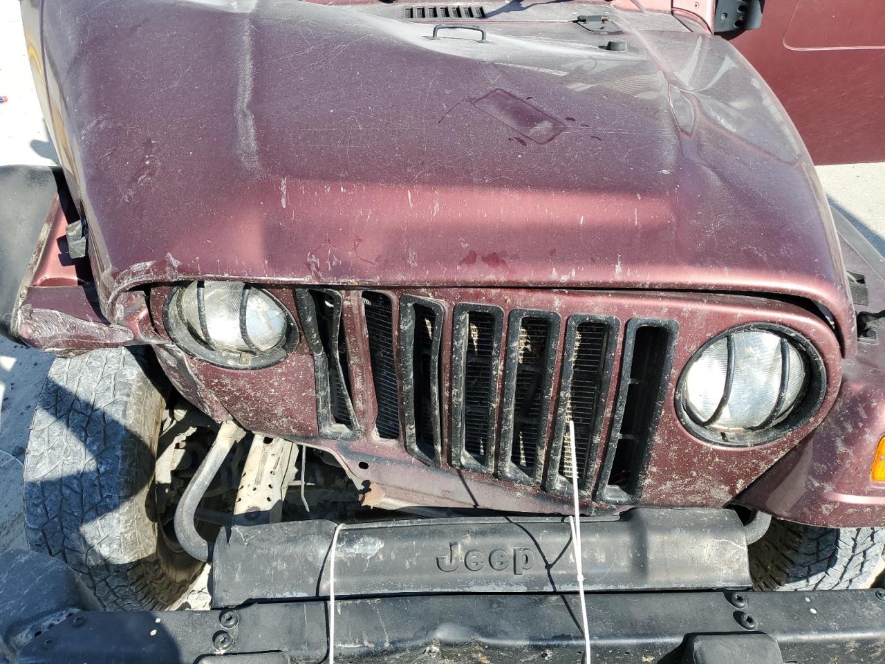 2003 Jeep Wrangler Commando VIN: 1J4FA39S23P333268 Lot: 85723275