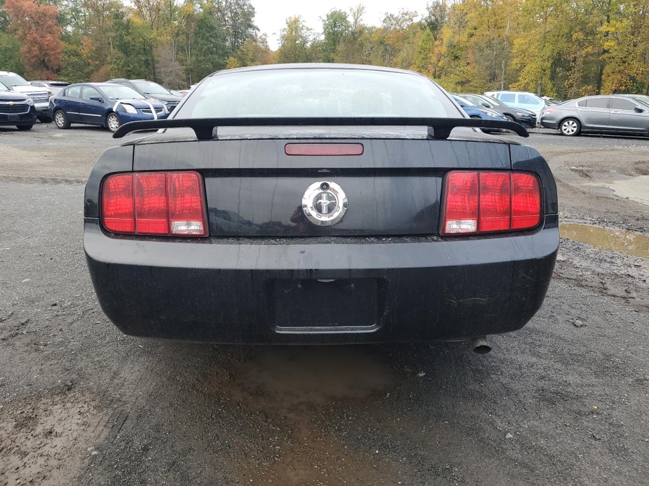 2006 Ford Mustang VIN: 1ZVFT80N165207047 Lot: 85732265