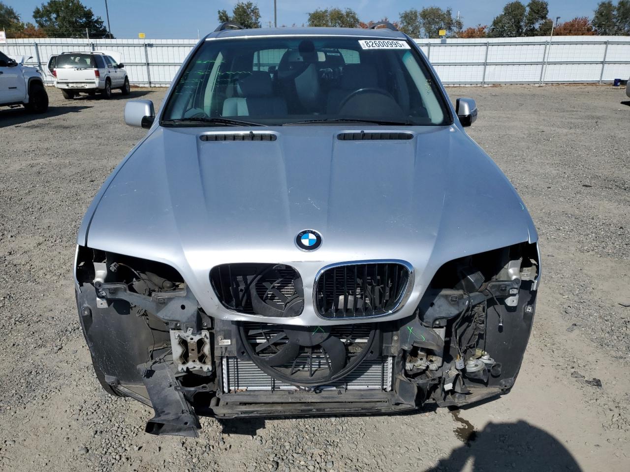 Фото: 5UXFA53583LV94365