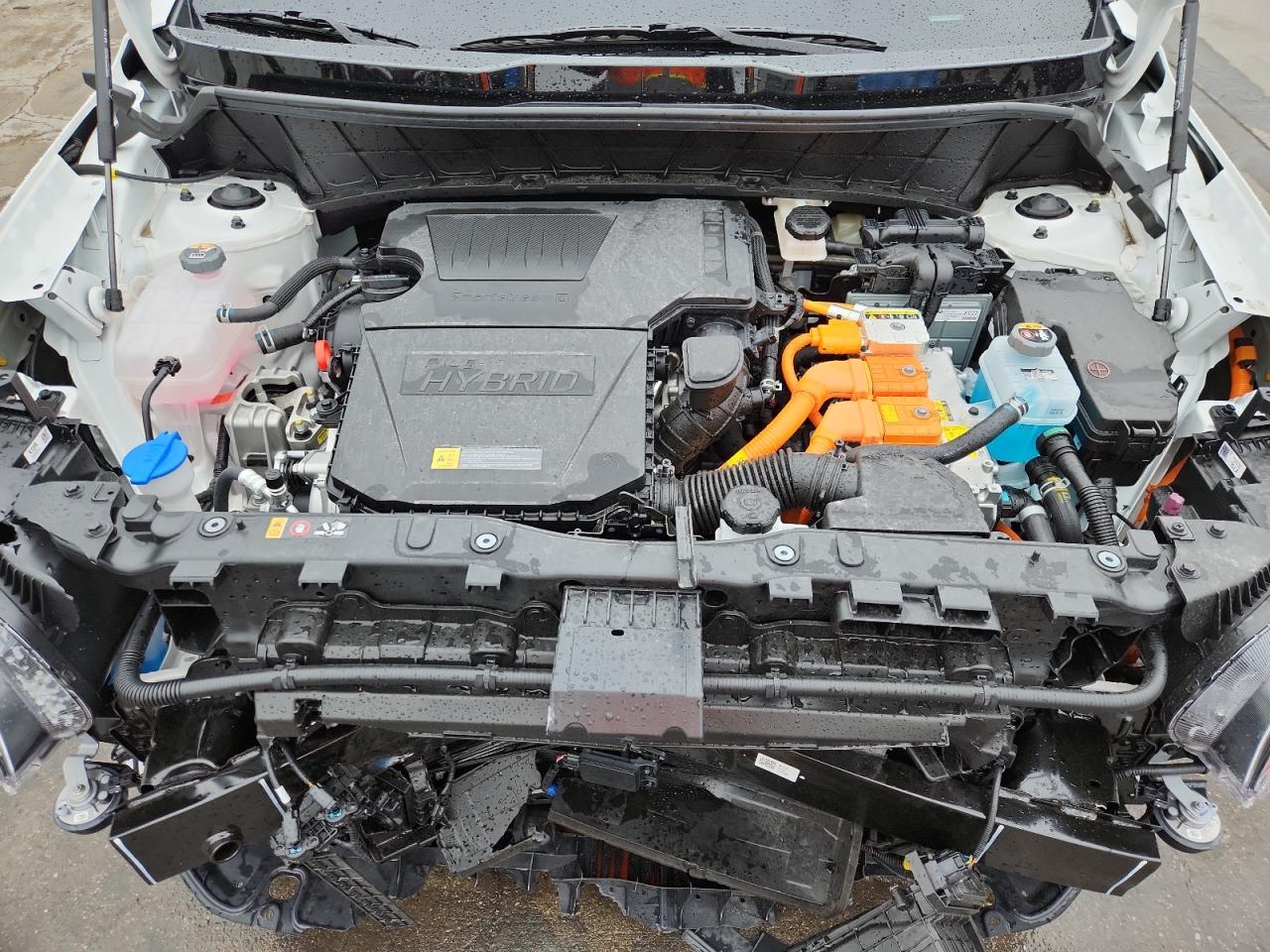 2025 Kia Niro Sx Touring VIN: KNDCR3LF6S5259246 Lot: 86459155