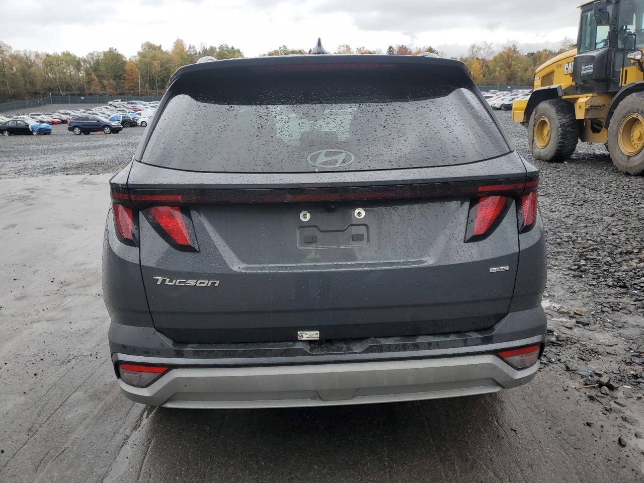 2025 Hyundai Tucson Sel VIN: 5NMJBCDE3SH508746 Lot: 87414155