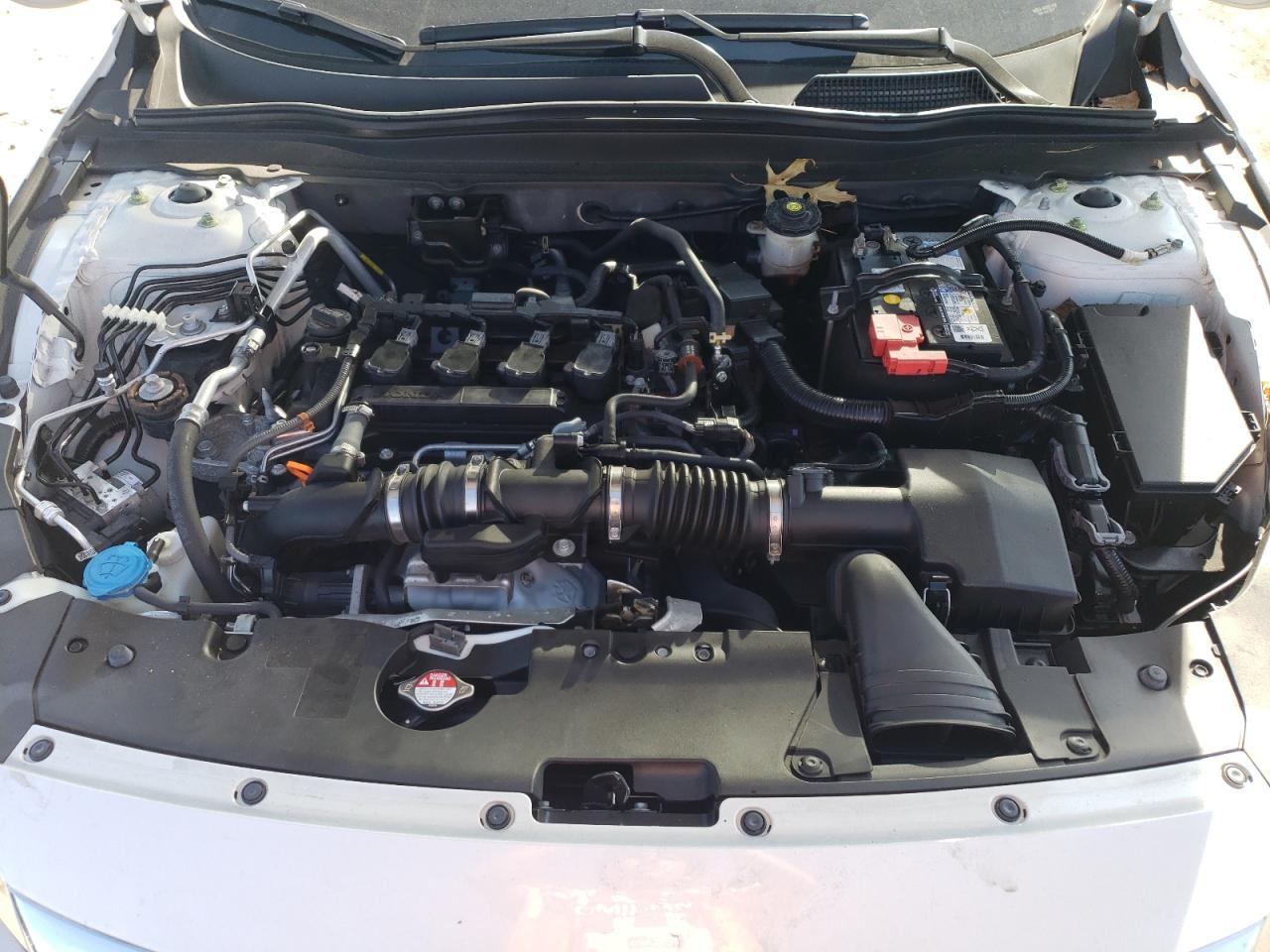 2021 Honda Accord Exl VIN: 1HGCV1F56MA064262 Lot: 81998385