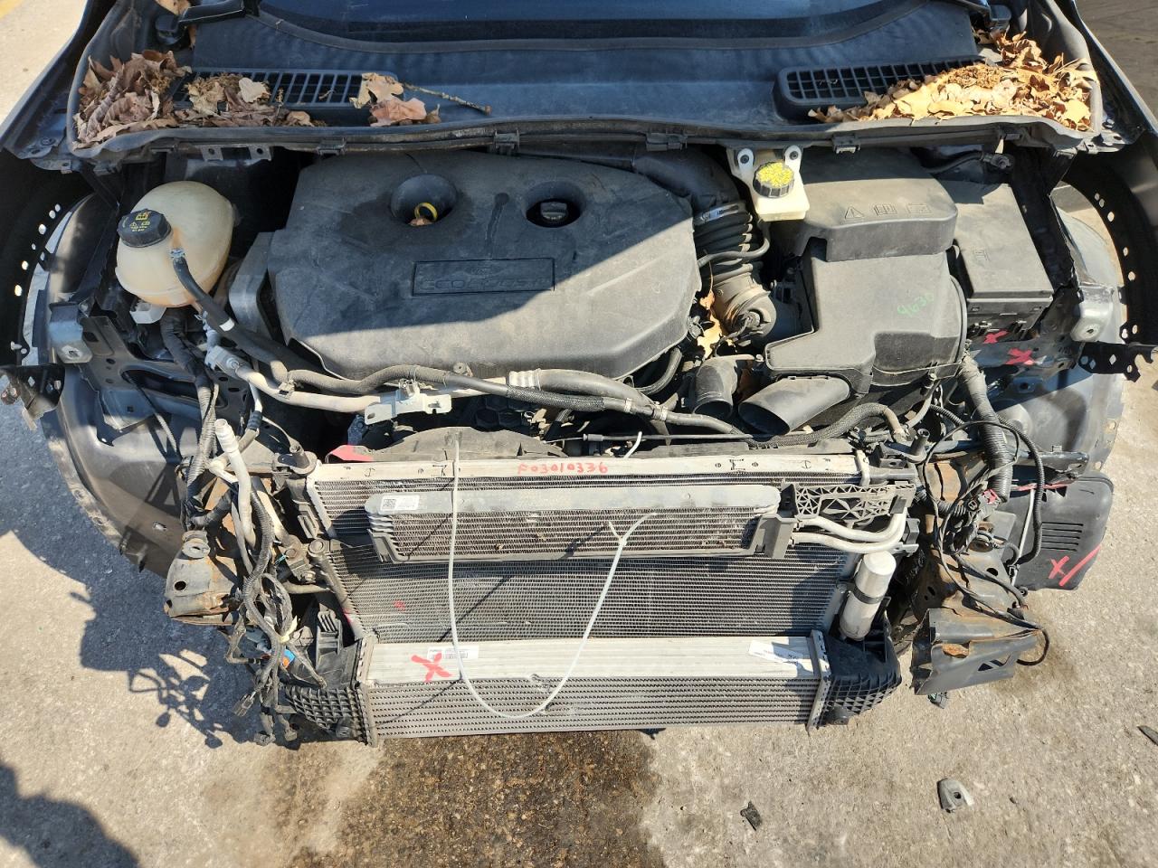 2019 Ford Escape Titanium VIN: 1FMCU0J93KUC08203 Lot: 84303135