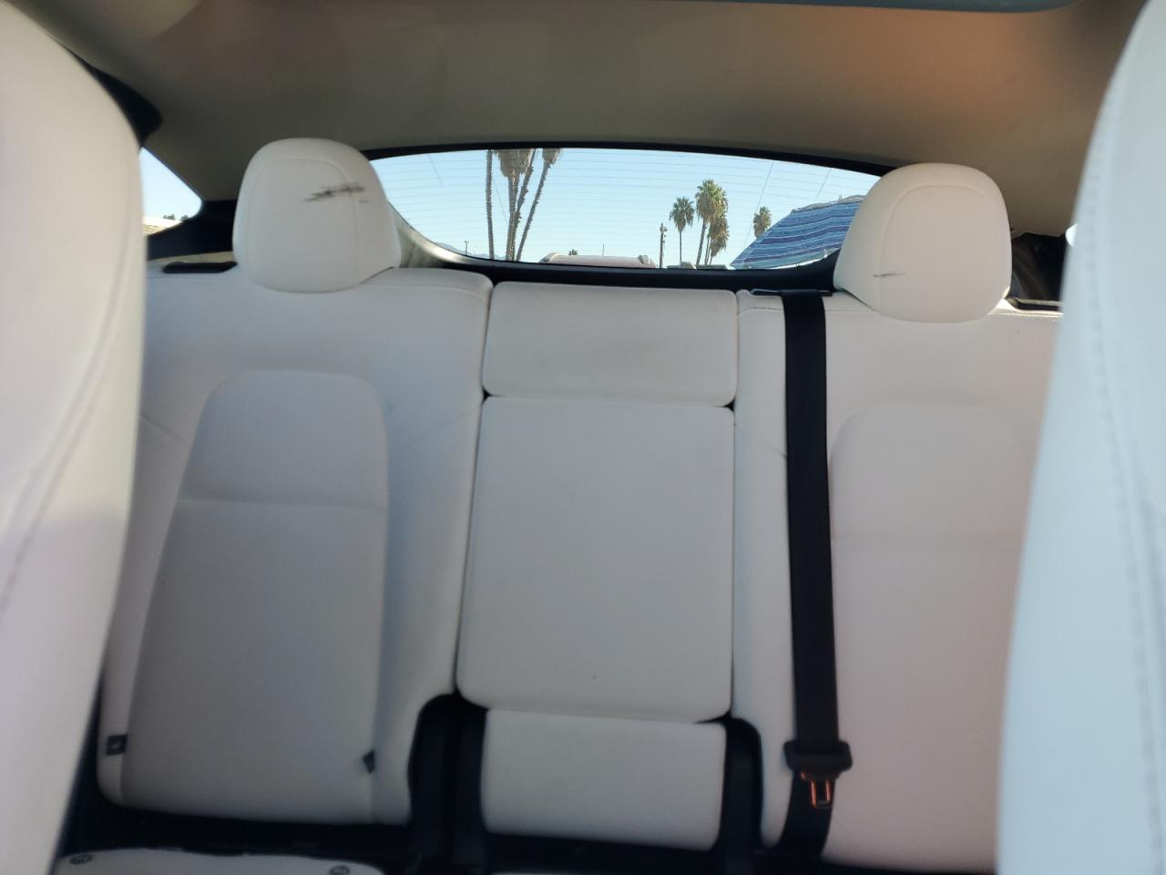 2025 Tesla Model Y VIN: 7SAYGDED4SF254366 Lot: 85208025