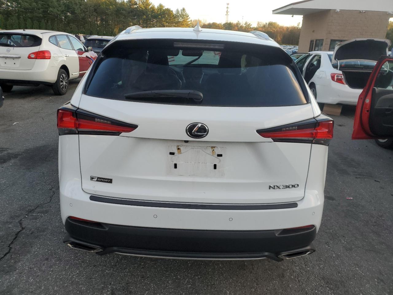 2020 Lexus Nx 300 F Sport VIN: JTJSARDZ4L2235395 Lot: 87043175