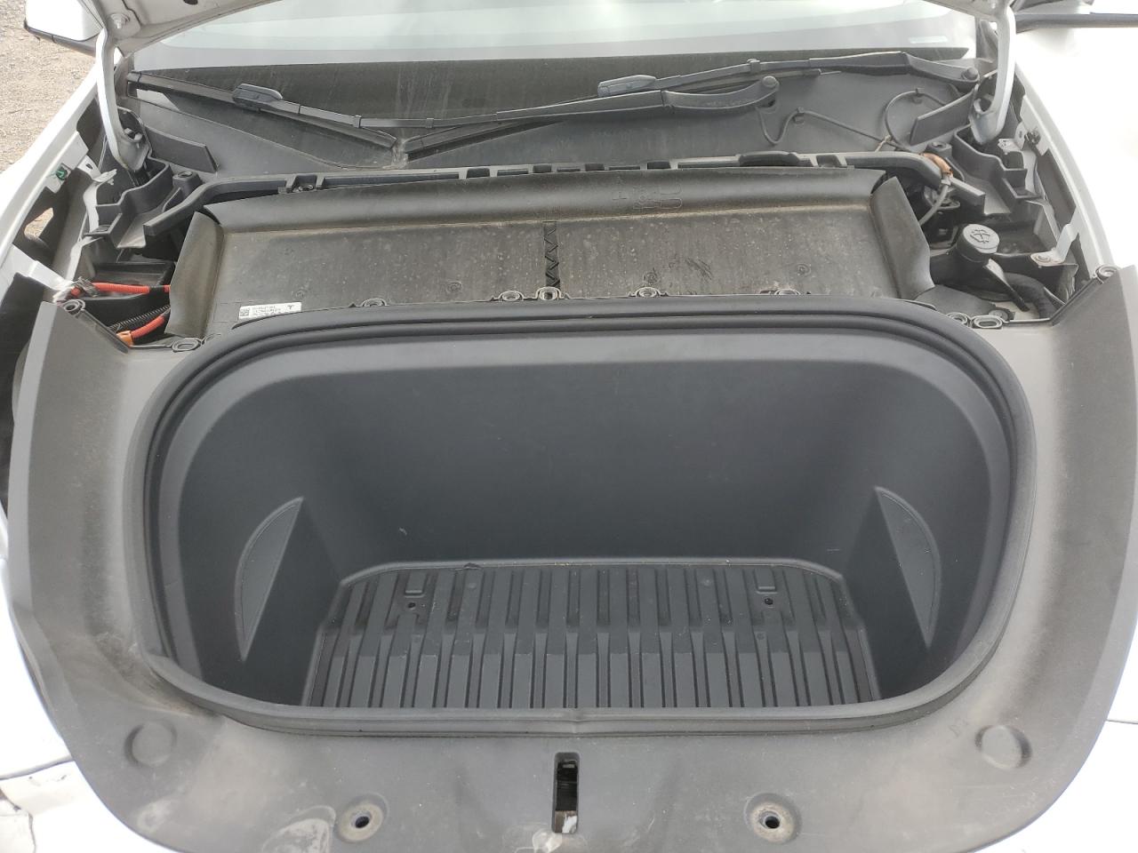 2022 Tesla Model Y VIN: 7SAYGDEE6NF319750 Lot: 85099765