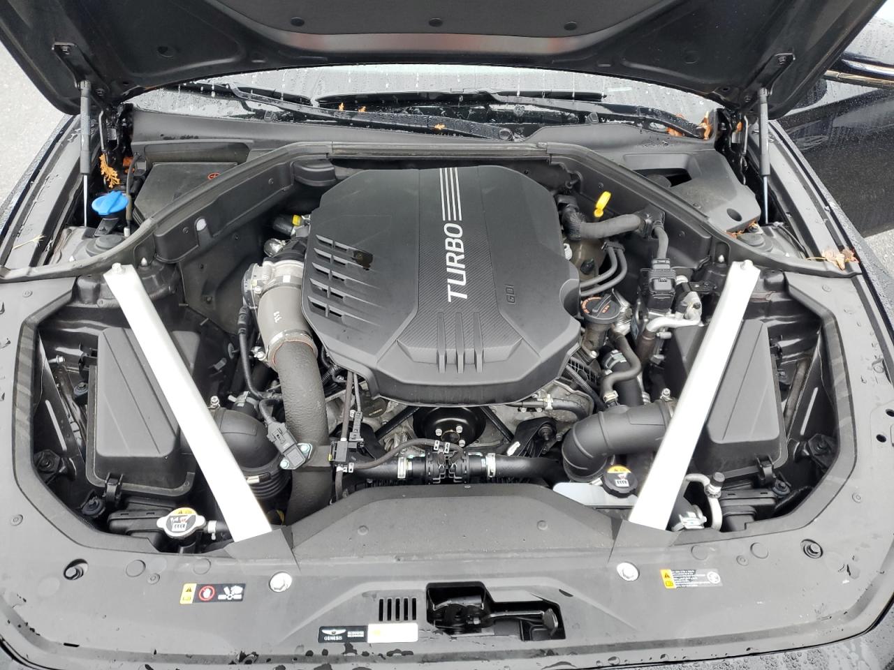 2023 Genesis G70 Base VIN: KMTG54TE2PU119526 Lot: 85142515