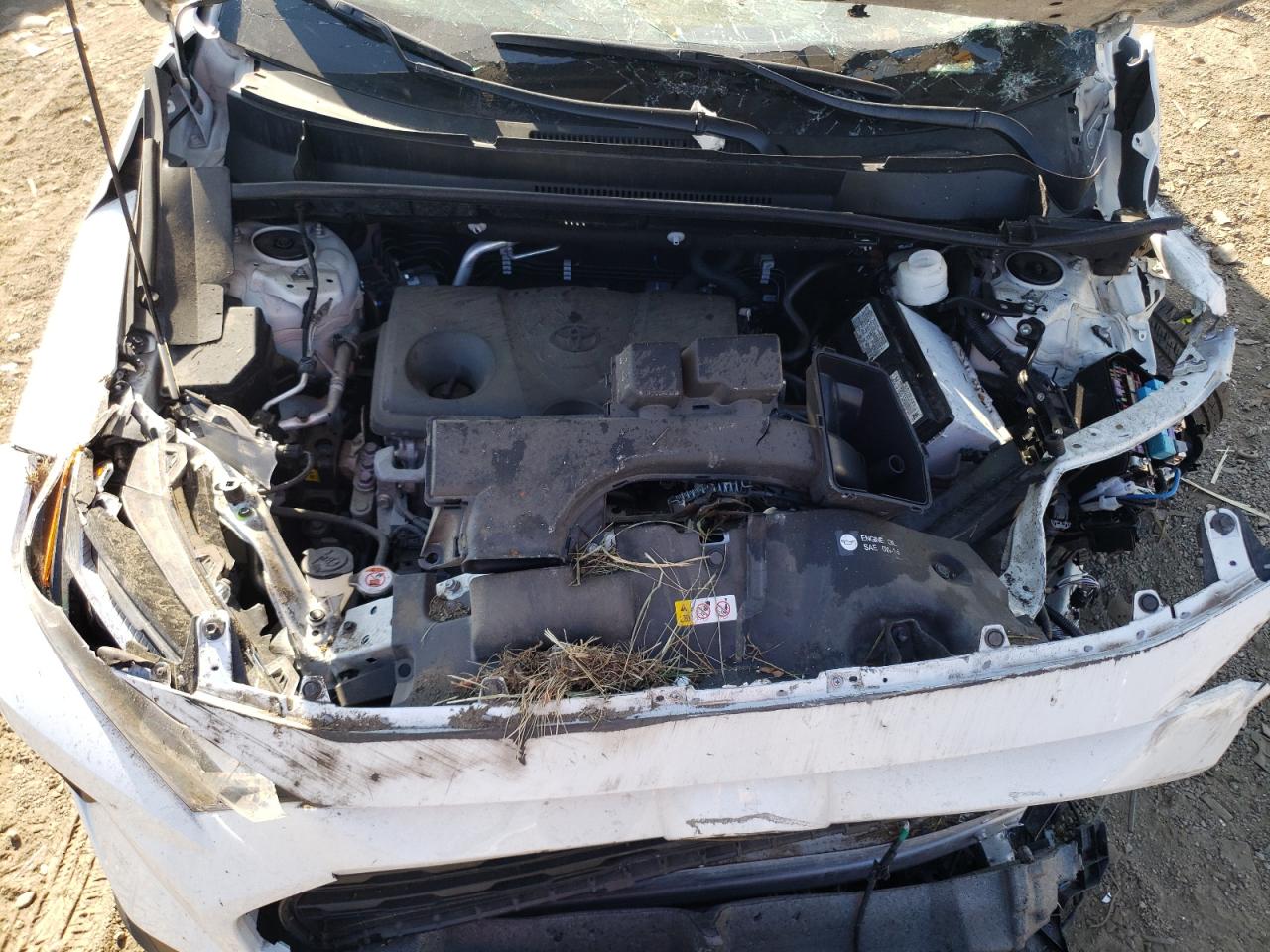 2024 Toyota Rav4 Xle VIN: 2T3P1RFV9RC486448 Lot: 82005135