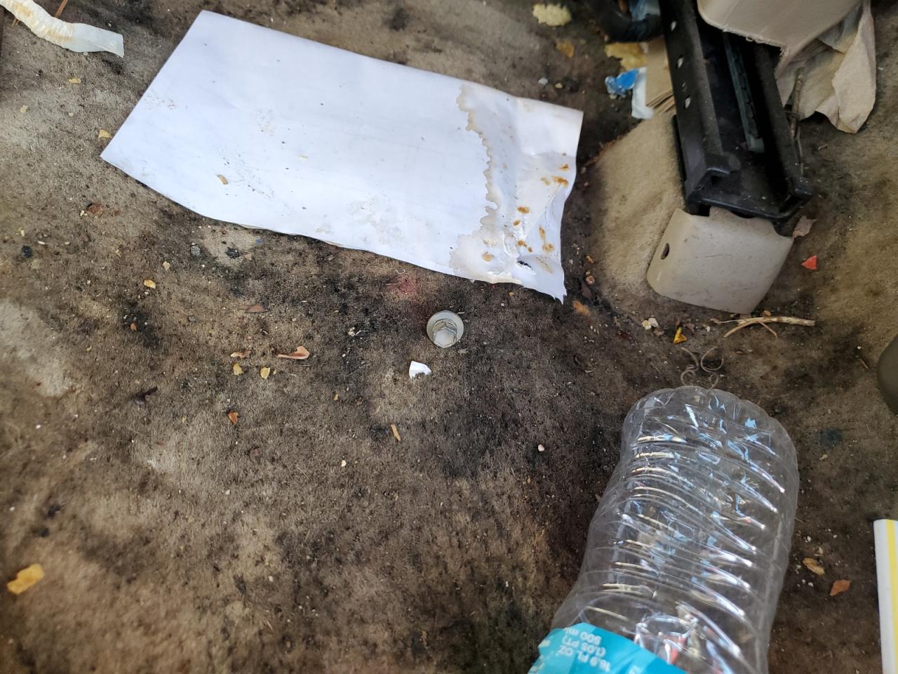 2001 Honda Accord Ex VIN: 1HGCG16591A033688 Lot: 89867005