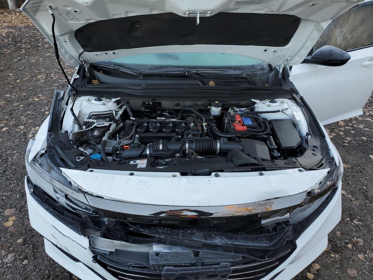 2021 Honda Accord Sport VIN: 1HGCV1F33MA803263 Lot: 87230175