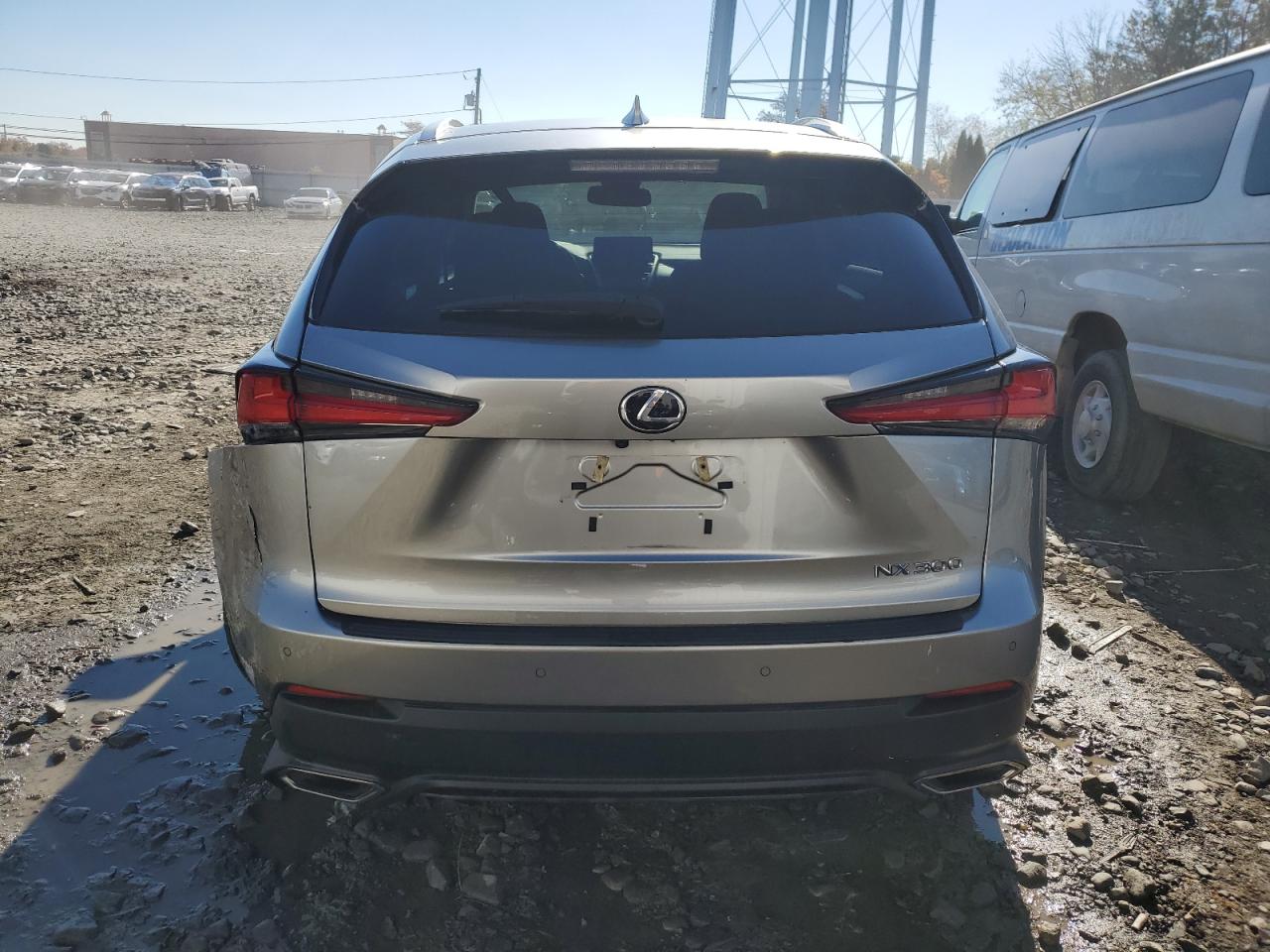 2020 Lexus Nx 300 VIN: JTJDARDZ2L2219950 Lot: 90036375