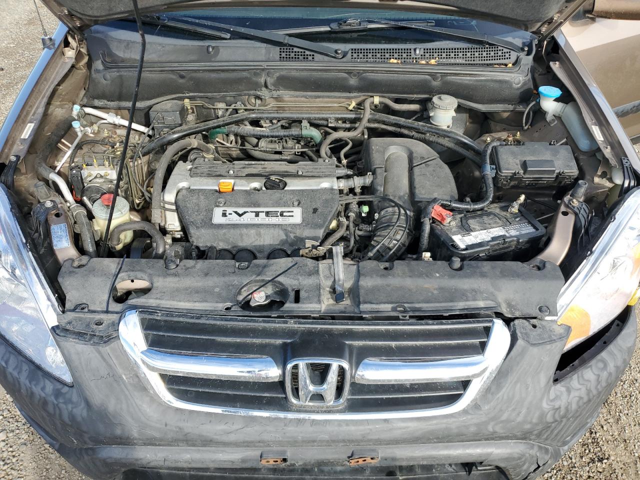 2004 Honda Cr-V Ex VIN: JHLRD788X4C021363 Lot: 82263155