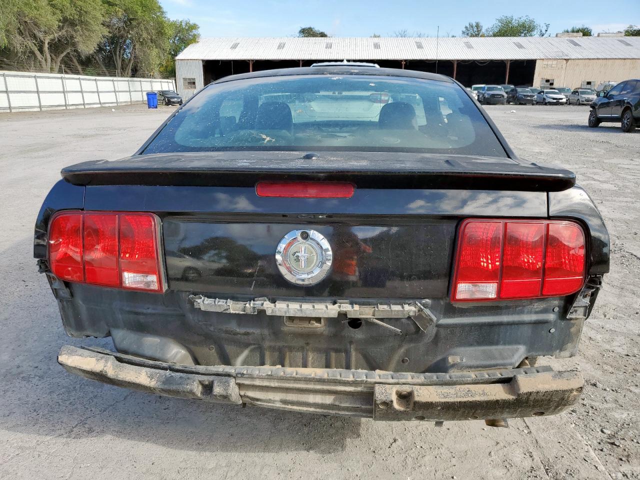 2009 Ford Mustang VIN: 1ZVHT80N495118795 Lot: 85481785