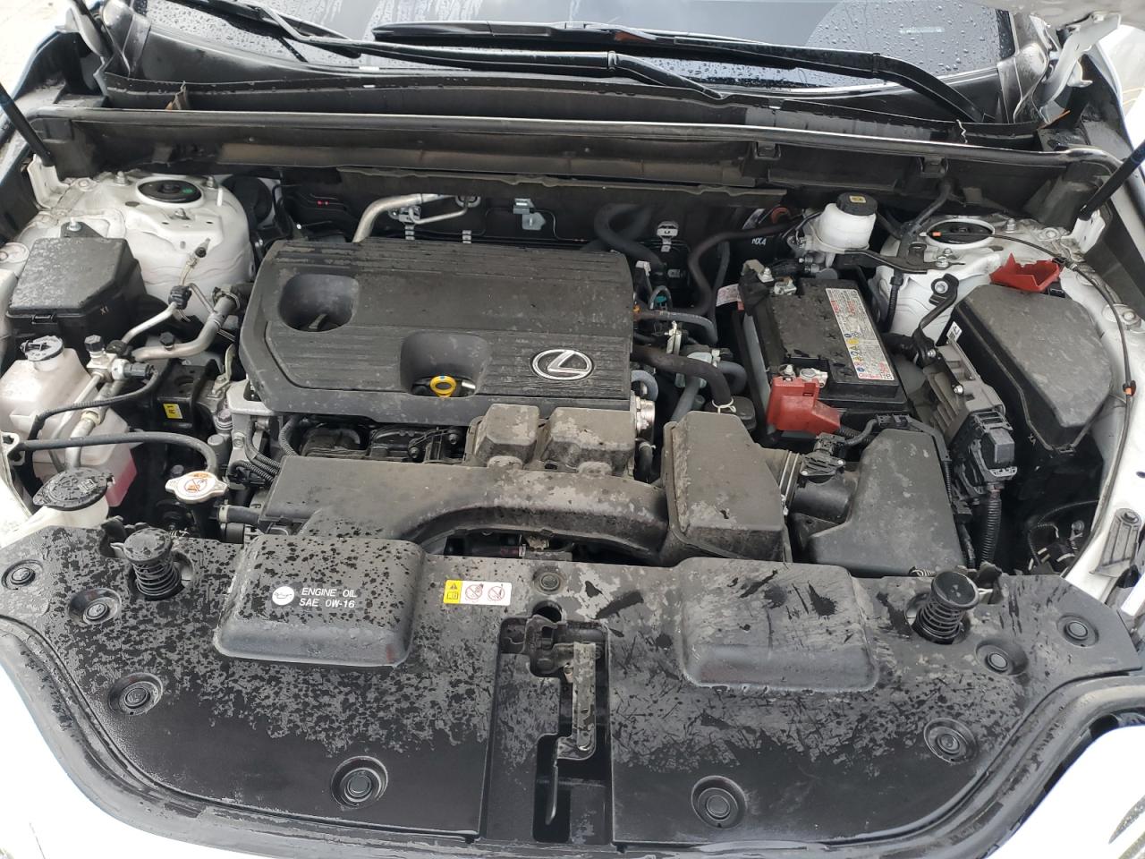 2024 Lexus Nx 250 Premium VIN: JTJGDCAZXR5016818 Lot: 90360995