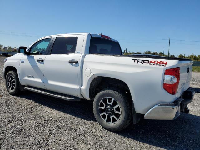  TOYOTA TUNDRA 2020 Biały