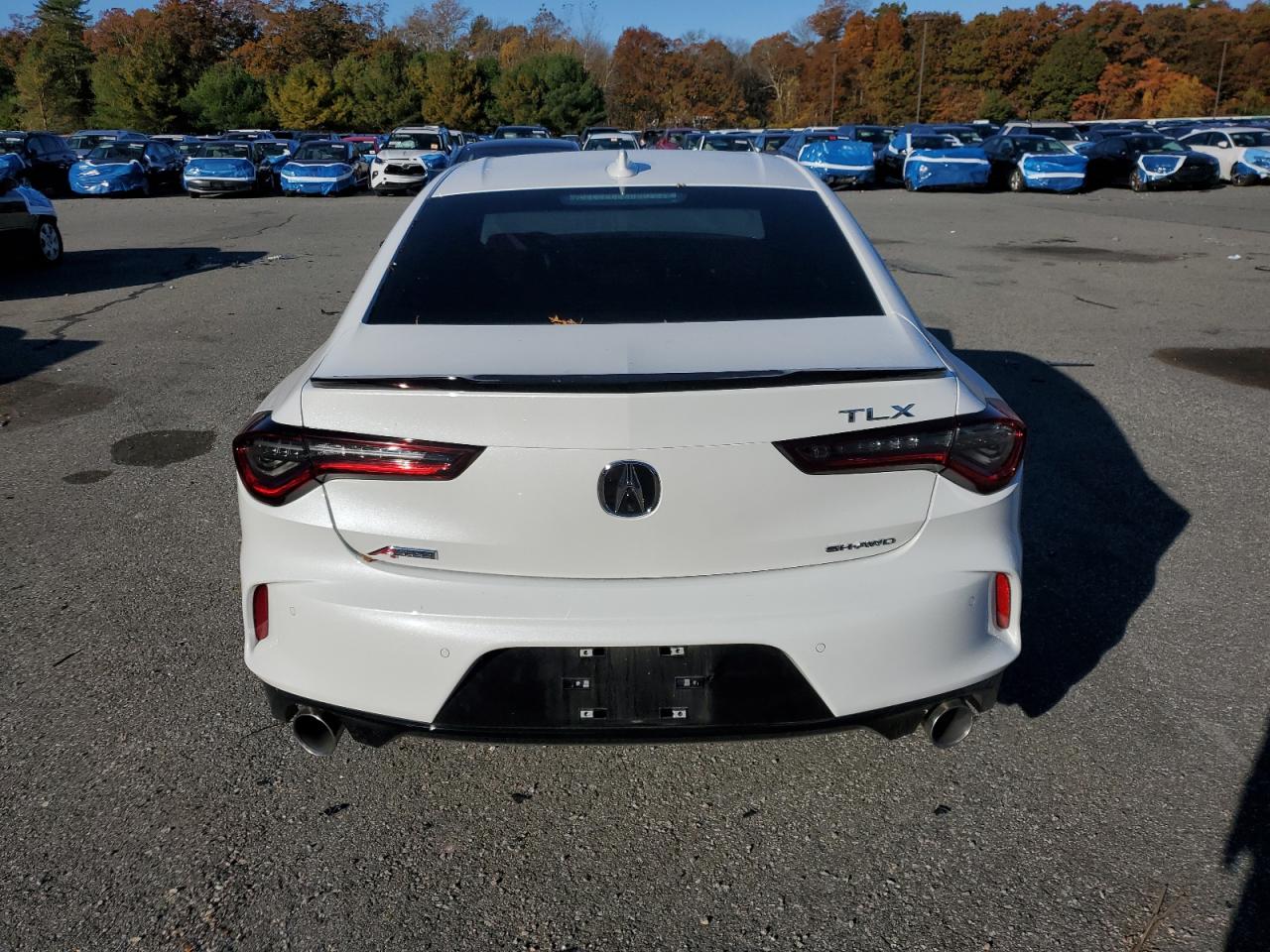 2025 Acura Tlx A-Spec VIN: 19UUB6F59SA001356 Lot: 82705435