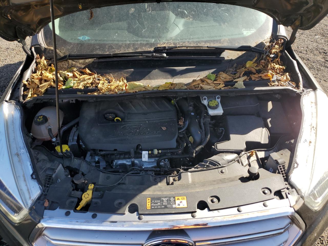 2017 Ford Escape Se VIN: 1FMCU9GD9HUC88602 Lot: 86845435