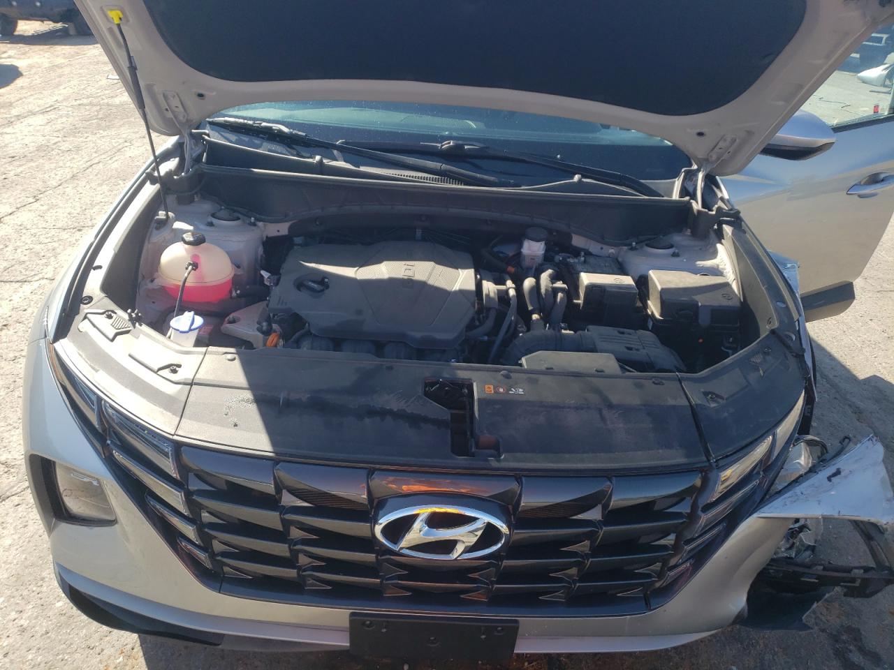 2024 Hyundai Tucson Sel VIN: 5NMJB3DE7RH314070 Lot: 85768555