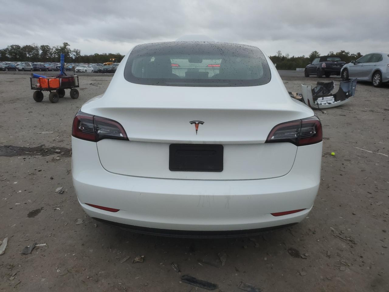 2020 Tesla Model 3 VIN: 5YJ3E1EA1LF590625 Lot: 86332245