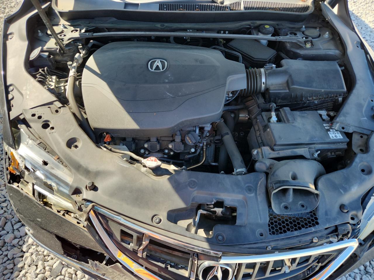 2015 Acura Tlx VIN: 19UUB2F31FA013045 Lot: 89447625