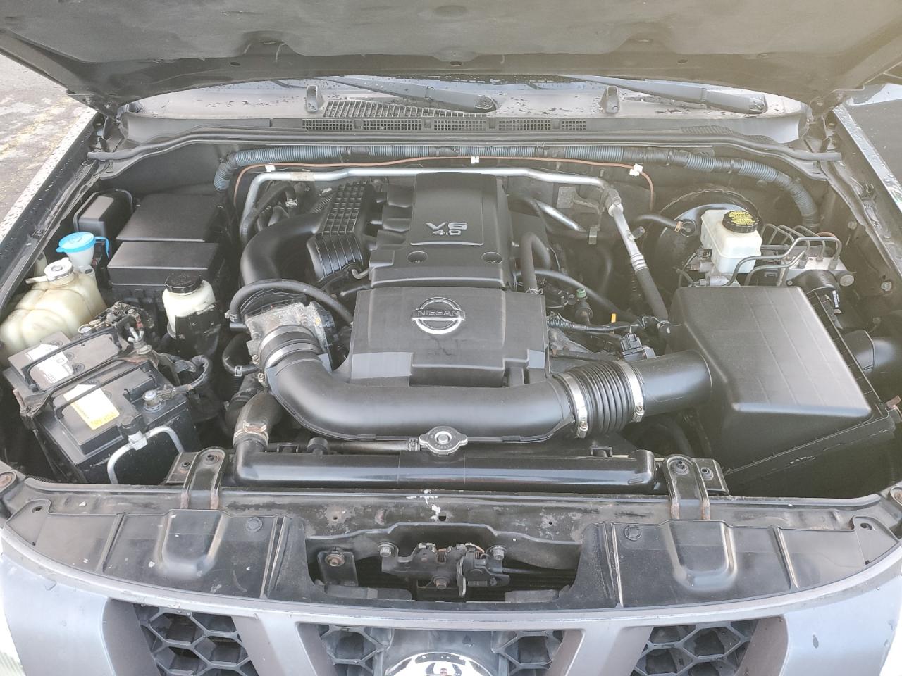 2007 Nissan Xterra Off Road VIN: 5N1AN08W57C523436 Lot: 87373845