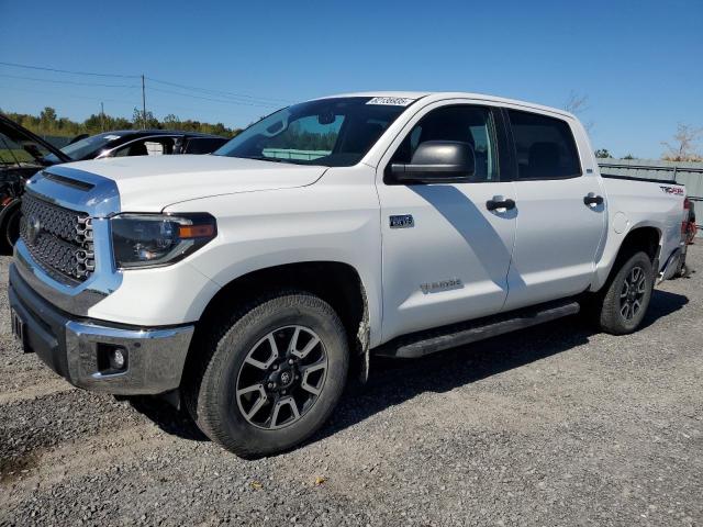  TOYOTA TUNDRA 2020 Biały