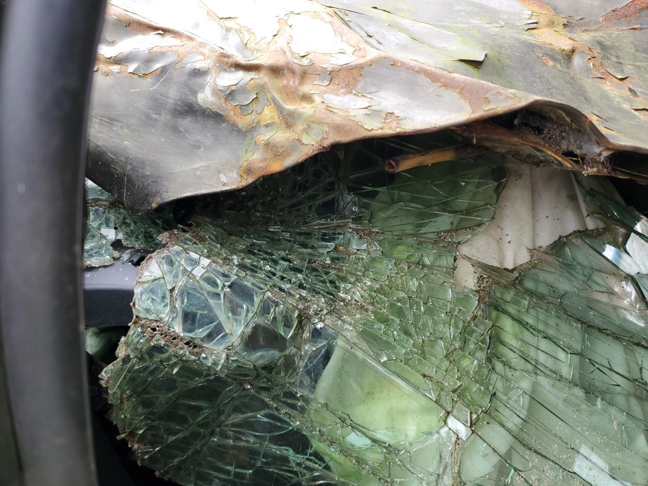 2008 Subaru Outback VIN: 4S4BP60C587348828 Lot: 87466655