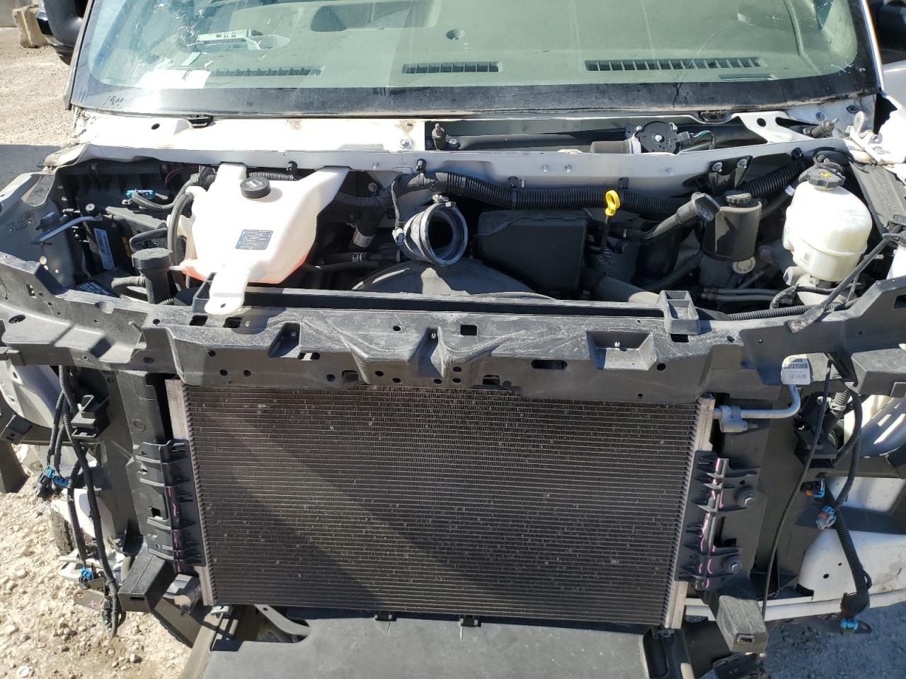 2021 Chevrolet Express G2500 VIN: 1GCWGAFP2M1306505 Lot: 87200655