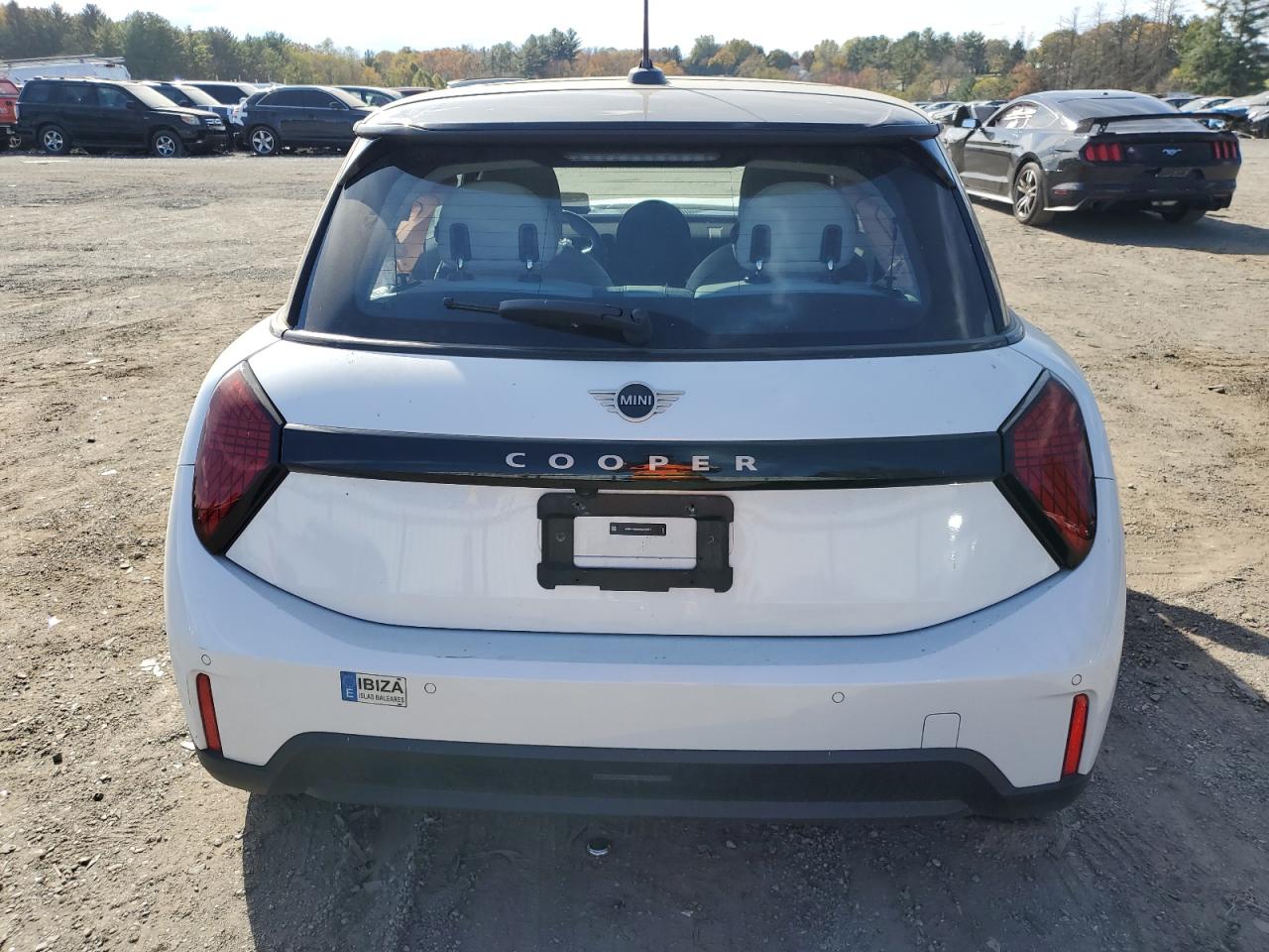 2025 Mini Cooper Base VIN: WMW13GD00S2W42401 Lot: 89697685