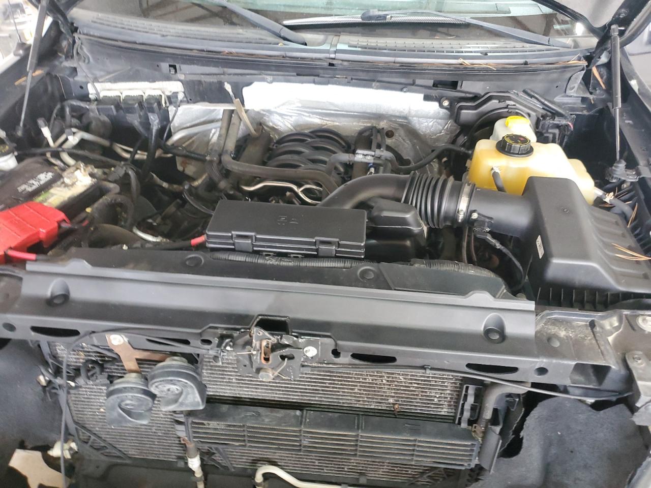 2014 Ford F150 Super Cab VIN: 1FTFX1EF9EFD01900 Lot: 85668855