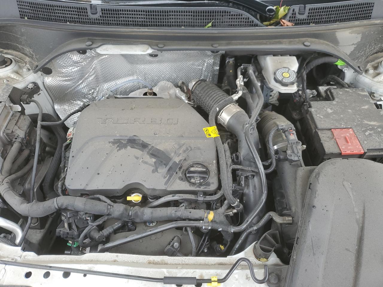 2024 Buick Envista Sport Touring VIN: KL47LBE23RB124903 Lot: 89733145