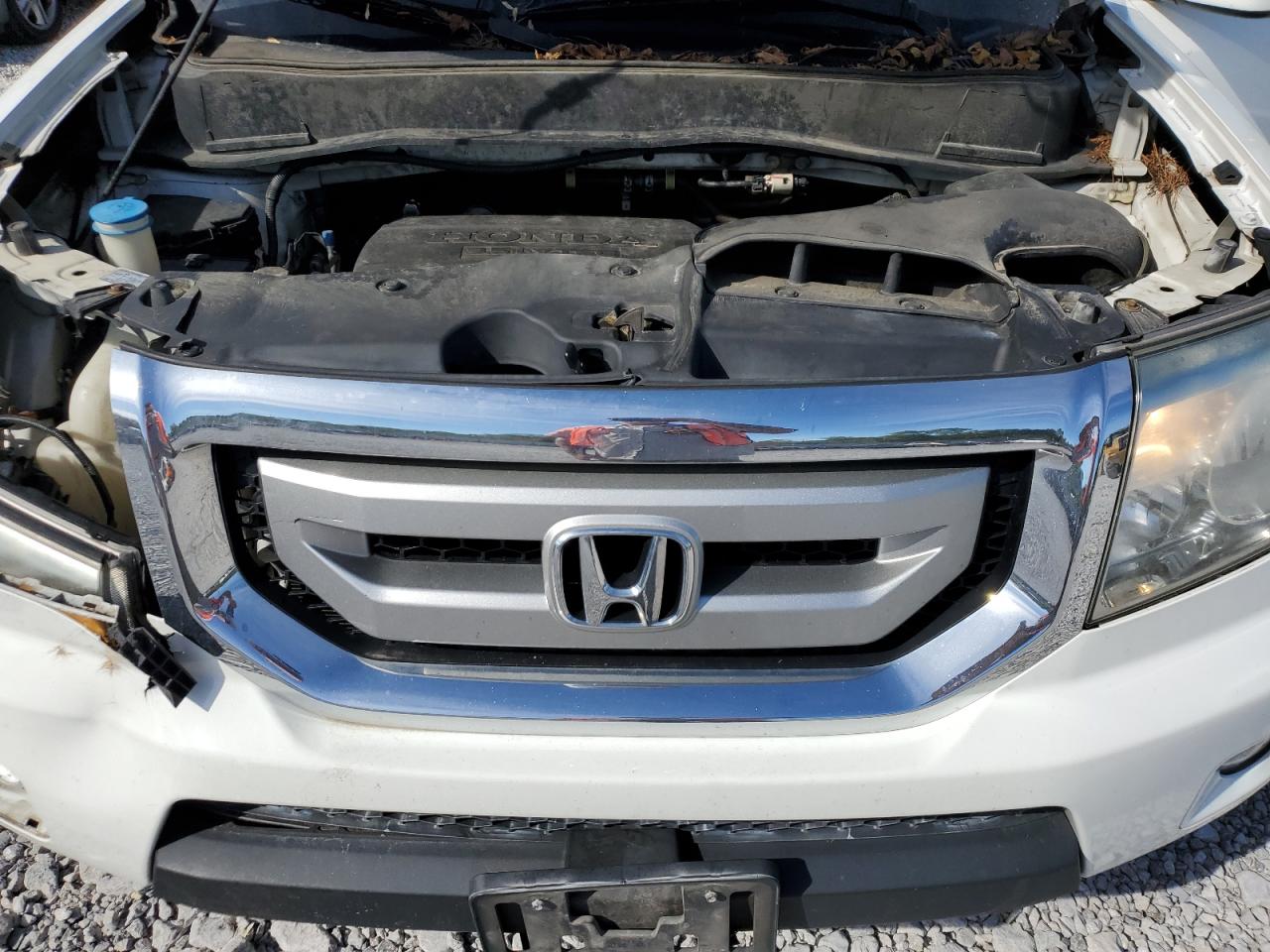 2011 Honda Pilot Exln VIN: 5FNYF4H73BB094681 Lot: 84622585